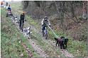 Tour Taunus 216
